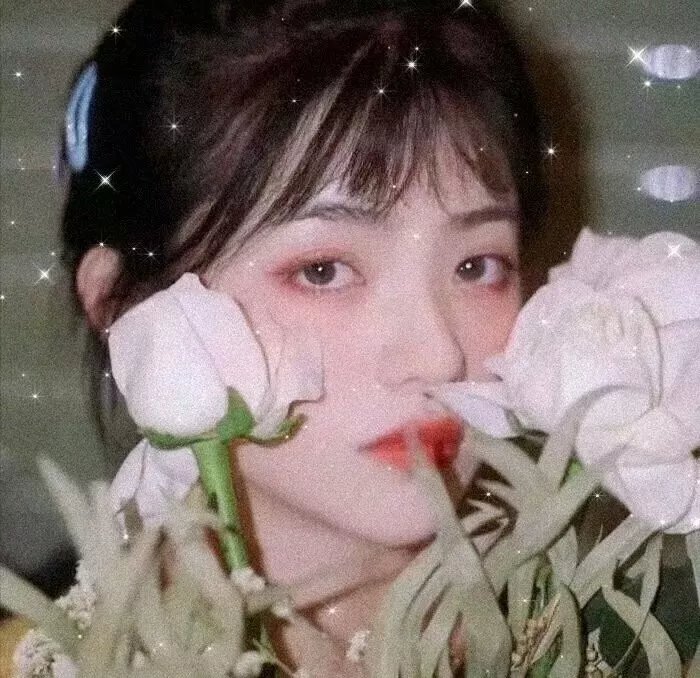 爱寓春光